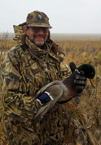 Dad Mallard.jpg Dad Mallard.jpg