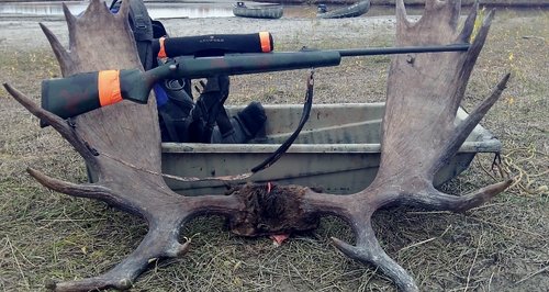 sled_mooseantlers (800x425).jpg