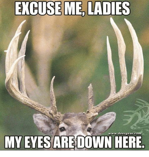 excuse-me-ladies-www-deer-gear-com-my-eyes-are-down-here-5250404.png