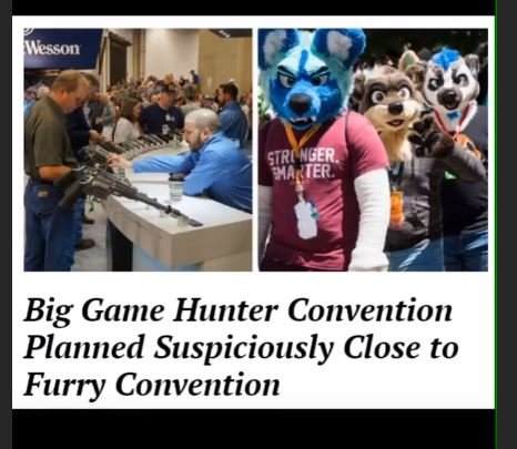 furries.JPG