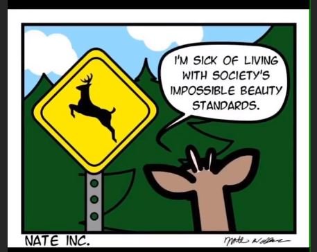 deer.JPG