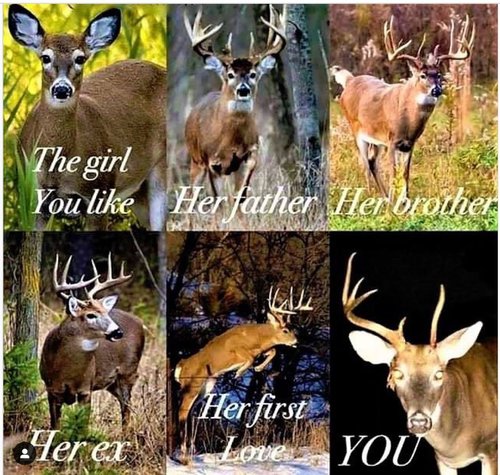 deer girl.JPG