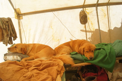 DSC04846 - Copy.JPG DSC04846 - Copy.JPG