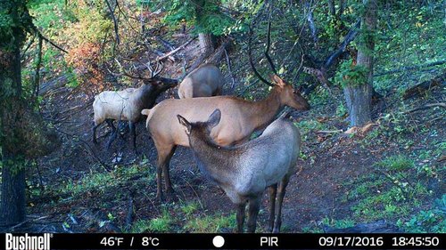 HUNT0291.JPG_thumb.jpg