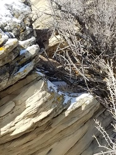 20181111_093749.jpg 20181111_093749.jpg
