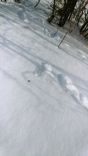 1215191124.jpg 1215191124.jpg