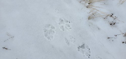 20191222_114016-800x379.jpg 20191222_114016-800x379.jpg