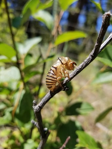 20190728_143058.jpg 20190728_143058.jpg