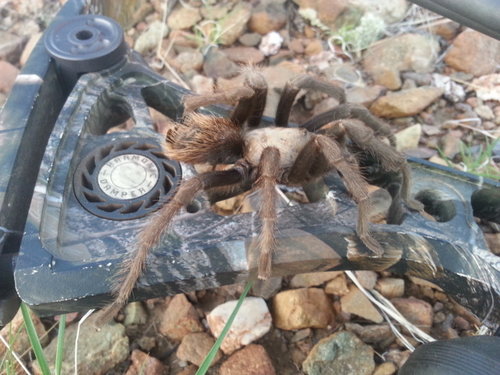 20140808_060046.jpg 20140808_060046.jpg