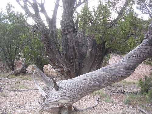 DSCN1292.JPG