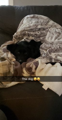 Resized_Snapchat-504367071(1).jpeg Resized_Snapchat-504367071(1).jpeg