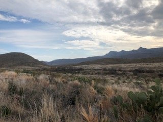 IMG_3120.jpg