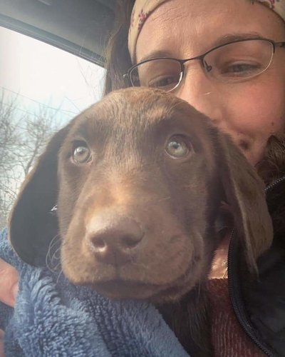 FB_IMG_1583030329554.jpg FB_IMG_1583030329554.jpg