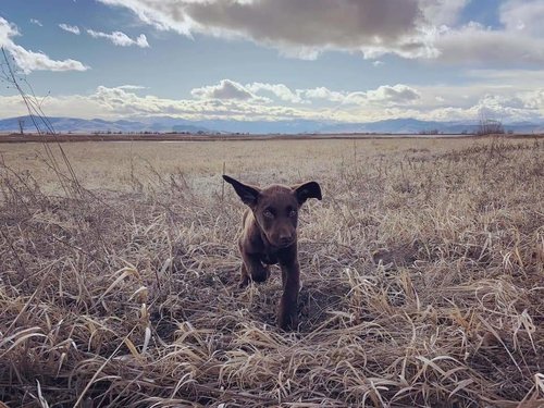 FB_IMG_1583030314739.jpg FB_IMG_1583030314739.jpg