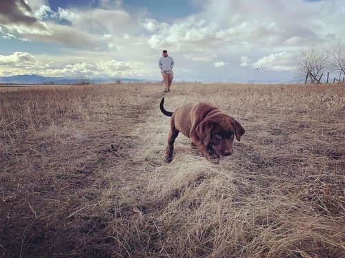 FB_IMG_1583030309081.jpg FB_IMG_1583030309081.jpg