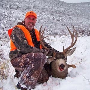 2010 CO Mule Deer-2.jpg