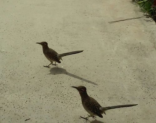 20200228_111519-1.jpg 20200228_111519-1.jpg