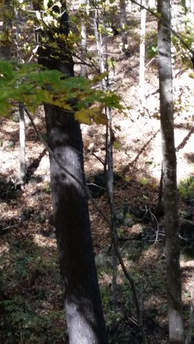 20161013_130657.jpg 20161013_130657.jpg