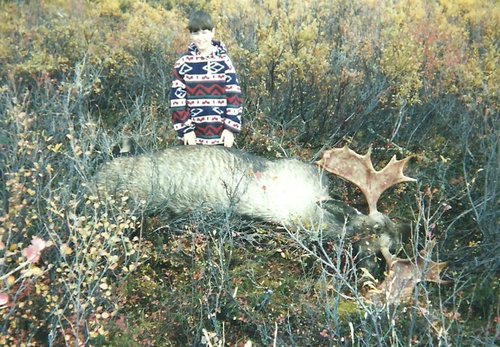 MooseHunt_3Point&Bou 1.jpg