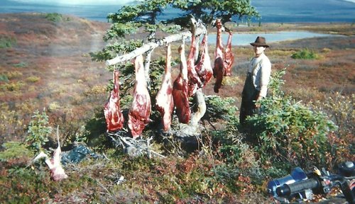 MooseHunt_Meat hanging.jpg