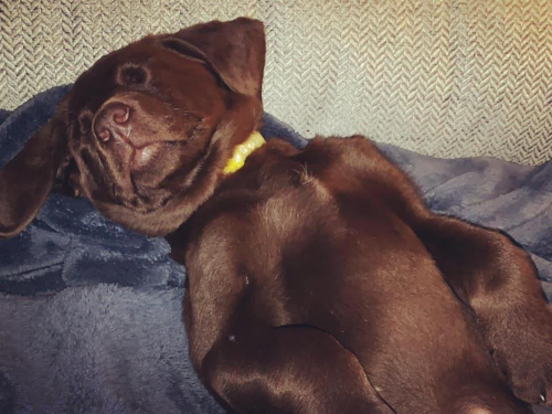 1583437566056.png 1583437566056.png