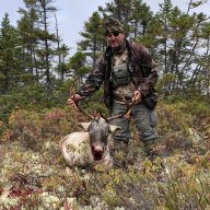 WoodMoose