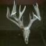 whitetailfreak