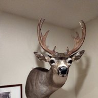 WA Bowhunter