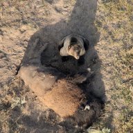 Ghost Ranch