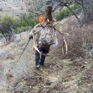 Elk28