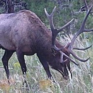 BigGameHuntMN09