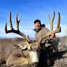 bigolmuley