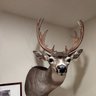 WA Bowhunter