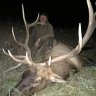 southdakotaelk