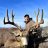 bigolmuley