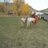 429421Cowboy