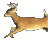 B0whunter