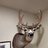 WA Bowhunter