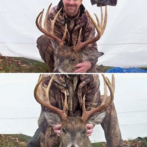 Missouri Buck