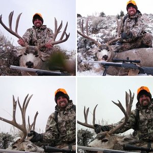 2009 Wyoming Mule Deer