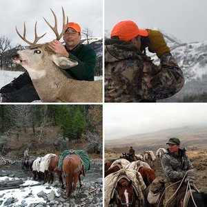 WY Mule Deer