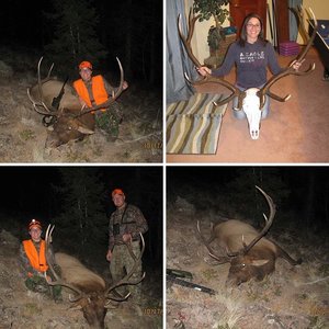 2010 Elk