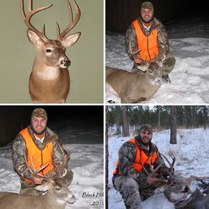 2010 Black Hills Deer