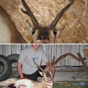 first antelope buck