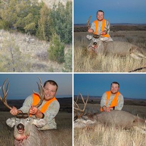 2010 Mule deer