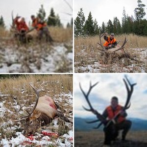 2010 crazy mtn elk hunt.