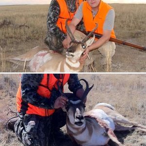 2011 Wyoming Antelope