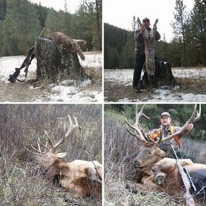 2011 Hunting and Trapping season.
