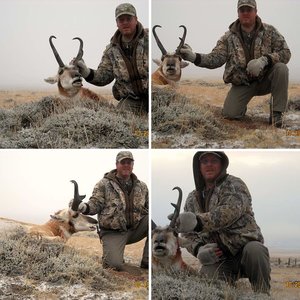 2011 wyoming antelope pics