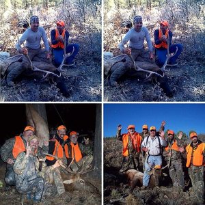 Elk Hunt